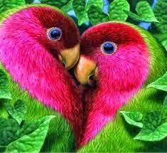 Image result for ‫صور جميلة‬‎