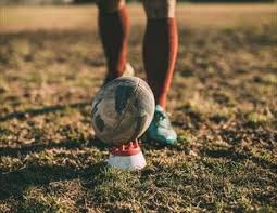 Retrouvez avec actu rugby le programme tv de la semaine. Rugby Tournoi Des Vi Nations Des Moins De 20 Ans 2019 Sport Programme Tv Replay