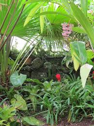 Epingle Sur La Reunion Voyages Et Jardins