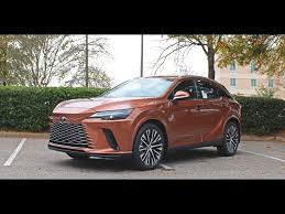 Image result for Copper Crest 2024 RZ