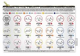 Amino Acids Table Carry All Pouch