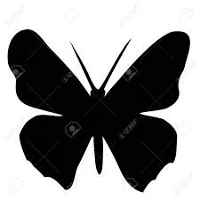 Imagine that the designer needs to make an image with a bunch of butterflies. Black Butterfly In Sketch Style On White Background Butterfly Outline On White Background For Decoration Design Royalty Free Cliparts Vectors And Stock Illustration Image 155763688