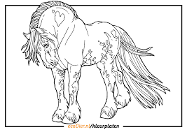 Bekijk hier dan onze hele verzameling kleurplaten paarden, print ze snel uit en geef ze de kleuren die jij wilt. Kleurplaat Paard Download Gratis Paarden Kleurplaten Eendier Nl