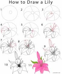 Today i complied easy flower drawings step by step for you. 30 Flower Drawing Tutorials Diy Projects For Teens