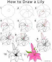 30 Flower Drawing Tutorials Diy Projects For Teens Today i complied easy flower drawings step by step for you. 30 flower drawing tutorials diy