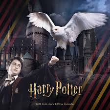 1200 x 685 jpeg 91 кб. Buy Harry Potter 2020 Calendar Includes 2 Posters Book Online At Low Prices In India Harry Potter 2020 Calendar Includes 2 Posters Reviews Ratings Amazon In