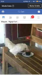 Pin Di Desain Grafis Unik Dukungan Gambar Soloan Spektakuler Dan Gambar Siswa Siswi Sma Negeri 1 Ngrambek