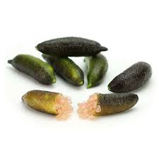 Lime or limes primarily refers to: Long Finger Limes Agrumes Baches