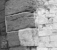 Image result for Verde Giannutri 2008 147