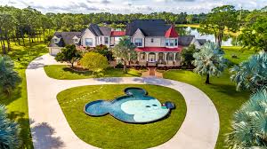.helllo my beautiful friends of the internet. Disney Themed Home For Sale With A Mickey Mouse Pool People Com