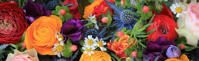 We did not find results for: Fresh Flowers Schmidt Klaus