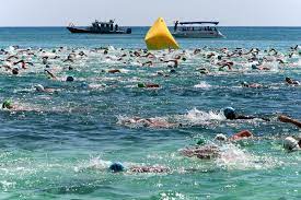 Unlike the previous olympics, swimming program schedule occured in two segments. Olympic Marathon Swimming Is Much Crazier Than You May Think Men S Journal