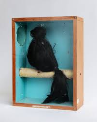 The process of assembling or bringing together. Untitled From Vienna Zoo Series Assamblage Mixed Media Size 2015 Alexander Povzner