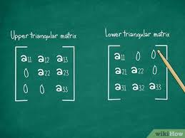 نتیجه جستجوی لغت [determinant] در گوگل