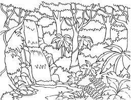 The amazon rainforest can be found in six south american countries and holds a massive 70% of all discovered plants and animals. Forest And Waterfalls Coloring Page Coloring Sky Jungle Coloring Pages Enchanted Forest Coloring Book Forest Coloring Book