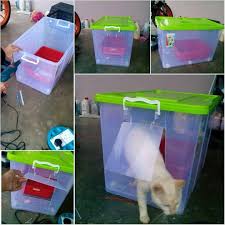 Hi karduser, inilah cara membuat rumah kucing dari kardus hello kitty yang imut dan lucu. 6 Diy Kreatif Untuk Si Bulus Kesayangan Super Kreatif Lagi Jimat Wajib Cuba Keluarga
