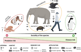 Disgust in animals and the application of disease avoidance to wildlife  management and conservation - Sarabian - 2023 - Journal of Animal Ecology -  Wiley Online Library