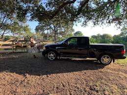 Image result for Black 2000 F150
