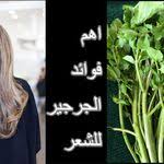 عصير البصل للشعر Onion Benefits Onion Hair