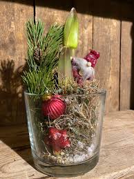 Diy so lassen sich amaryllis in wachs gießen und. Geschenke Pflanzenhaus Schoner