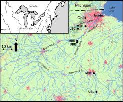 Environmental exposure of freshwater mussels to contaminants of emerging  concern: Implications for species conservation