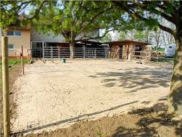 Offenstall Aktivstall Pferd Pferdehaltung