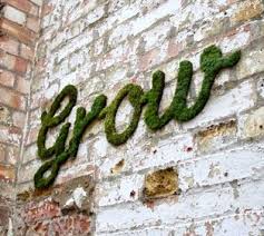 La Reines Blog Moos Grafitti Mit Moos Wande Bemalen Moos Graffiti Moos Buchstaben Pflanzen