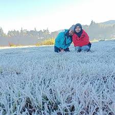 We did not find results for: Fakta Fakta Salju Di Dataran Tinggi Dieng Daya Tarik Wisatawan Di Juni Merahputih