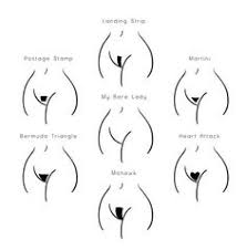 Pubic hair follicles are more sensitive to androgens that other hair follicles, so they push out hair that's more curly. 11 Trimming Design Ideas Brazilian Waxing Bikini Wax Styles Bikini Wax
