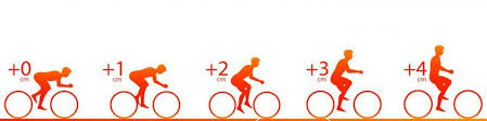 In general, the whole surface of a saddle determines how comfortable a saddle feels, not just the width. Saddle Fit 05 Optimal Saddle Width Bikegremlin