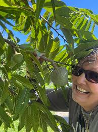 Let's welcome our new members! Gilmar Jimenez Rivera, Cari Peters, Design  By Nature Landscapes, Diana Insanally, Gray Buccigross, Milla Booth, Ali  Soyler, Shirley Leung, Rita Kontrimaite, Cor Butter, Anastasia MacRae,  Daniel Domingos,