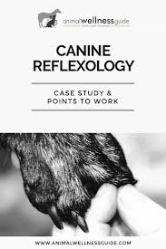 Canine Reflexology Animal Wellness Guide Reflexology Holistic Dog Natural Pet Care