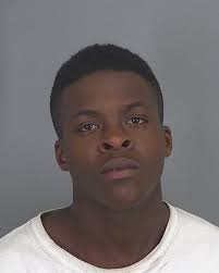 Police: Spartanburg homeowner fires handgun at suspicious teen