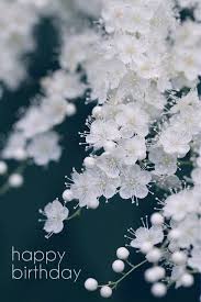 Birthday Wishes Expert Wishes Quotes And Birthday Messages White Flowers Love Flowers Pretty Flowers