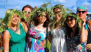 Какими лекарственными свойствами обладают различные сорта, использование их в хозяйстве. Muzykalnyj Festival Dikaya Myata V Bunyrevo Travelcalendar