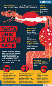 Pin Oleh Arr Di Porto Folio Pengetahuan Buku Pelajaran Pendidikan