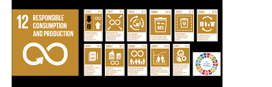 Calling Goal 12 researchers ? - The Global Academy