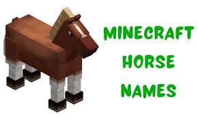 I have downloaded the launcher for the game but everytime i try to log in it in it says user not premium i don't know what that means. 1000 Minecraft Horse Names Funny Unique Famous