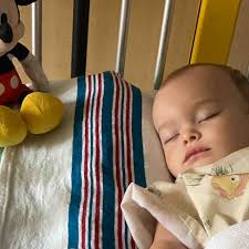 Fundraiser for Robert Bauhof by Becky Lau : Please donate to help this  sweet boy, Kai