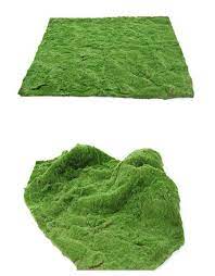 The moss they sold is not a live plant, but made by some plastic material.after i took a little bit of the moss out of water, several days later, it's still green as new. Artificial Bushy Moss Turf Fake Plant Wall Decoration Grass Micro Landscape Moss Decor Plant Wall Unique Decor
