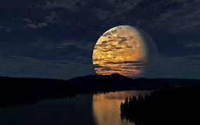 Welcome to the night shift wiki![edit |. Symphony Of The Night Wallpapers Symphony Of The Night Stock Photos