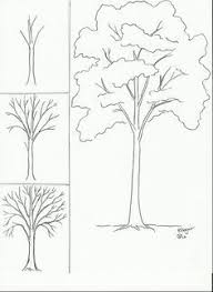 Draw A Tree Tree Drawing Drawings Tree Art
