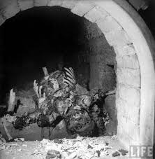 Image result for holocaust photos