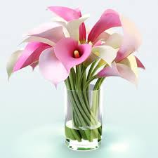 Realistic Flowers Color Calla Lily 3d Max 3d Model Calla Lily Calla Lily Flowers Calla Lillies
