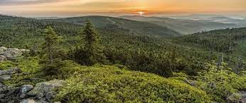 Zusammen mit dem nationalpark šumava ist der nationalpark bayerischer wald als transboundary park zertifiziert. Natur Pur Der Nationalpark Bayerischer Wald Indenbergen De