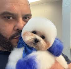 El chiquitito más bello Kerim 🩵🩵🩵🩵D'Peluches 🙏🙏🙏 no olvide que para  cortes de uñas ,baño o servicio sanitario no tienen que sacar sita las  citas son para Arreglos completos también no olvide