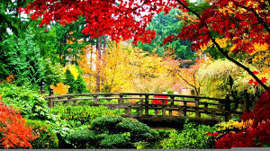 Pin Von Felix Maxim Auf Japanese Bridge Fototapete Asiatischer Garten Tapeten