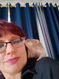 The greater bandicoot rat tail length is unknown