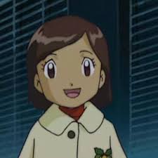 Where are the Digidestined from around the world?