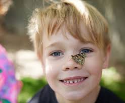 Dedham Country Day School